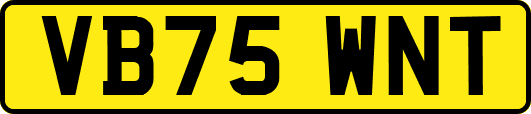 VB75WNT