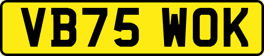 VB75WOK