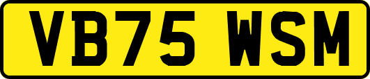 VB75WSM