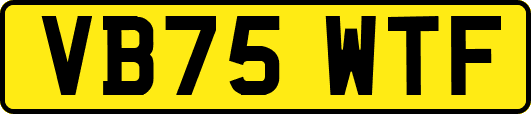 VB75WTF