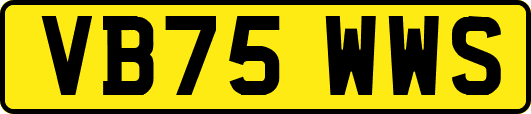VB75WWS