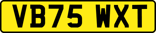 VB75WXT
