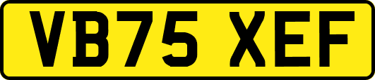 VB75XEF