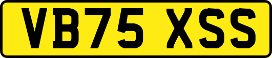 VB75XSS