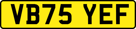 VB75YEF