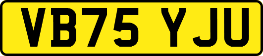 VB75YJU