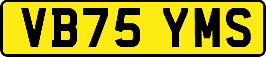 VB75YMS