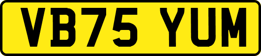 VB75YUM