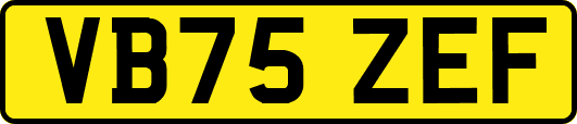 VB75ZEF