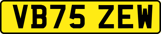 VB75ZEW