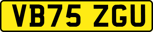 VB75ZGU