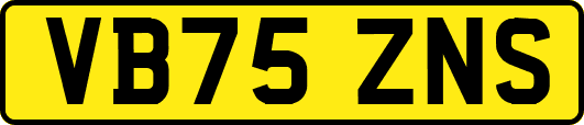 VB75ZNS