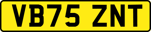 VB75ZNT