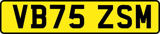 VB75ZSM