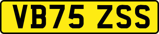 VB75ZSS