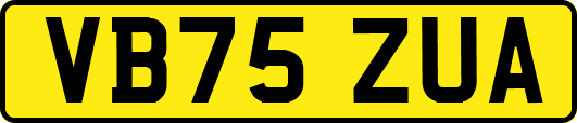 VB75ZUA