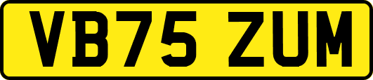 VB75ZUM
