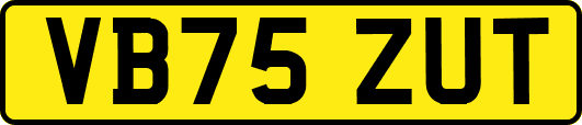 VB75ZUT