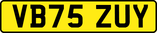 VB75ZUY
