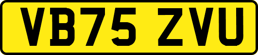 VB75ZVU