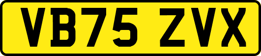 VB75ZVX