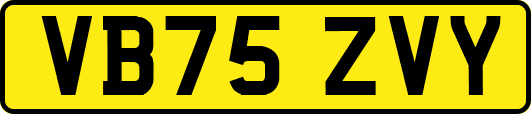 VB75ZVY