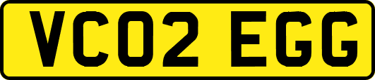 VC02EGG