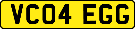 VC04EGG