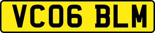 VC06BLM