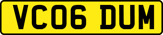 VC06DUM