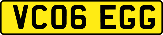 VC06EGG
