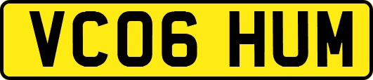 VC06HUM