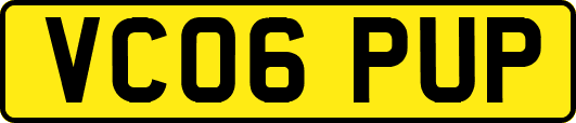 VC06PUP