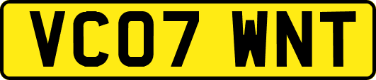 VC07WNT