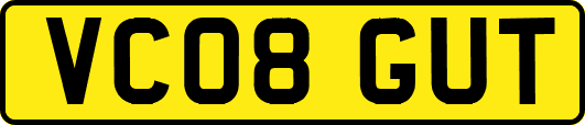 VC08GUT
