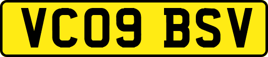 VC09BSV