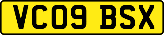 VC09BSX