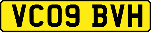 VC09BVH