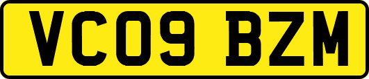 VC09BZM