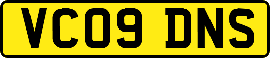 VC09DNS