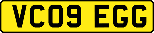 VC09EGG