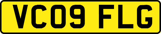 VC09FLG