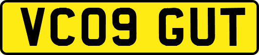 VC09GUT