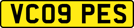 VC09PES