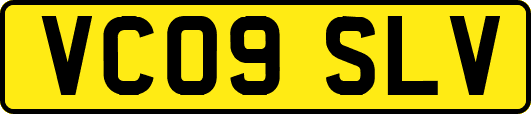 VC09SLV