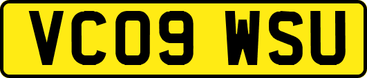 VC09WSU