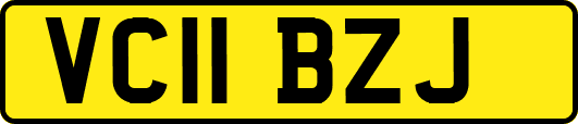 VC11BZJ