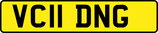 VC11DNG