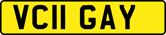 VC11GAY