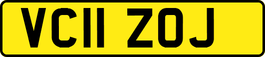 VC11ZOJ